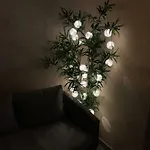 Apartment Mentha *